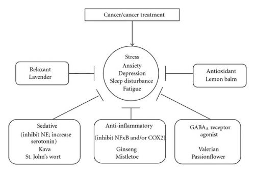 polarity therapy review studie