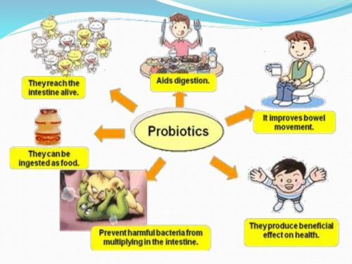 probiotica afbeelding voor kinderen