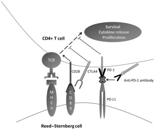 pembrolizumab bij lymfklierkanker